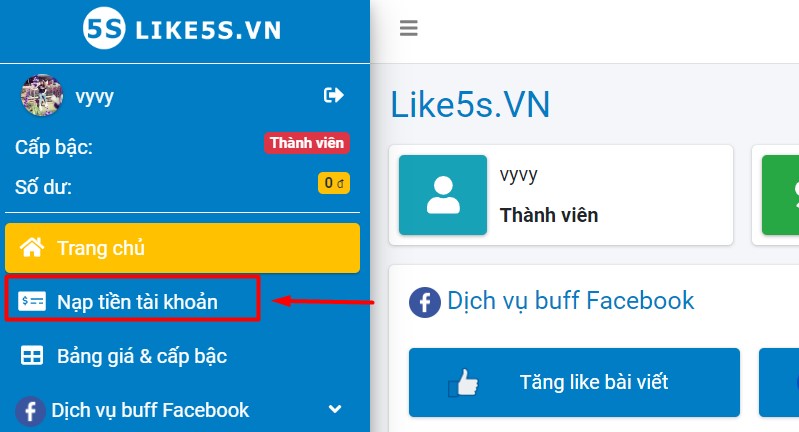 nạp tiền mua view tiktok like5s